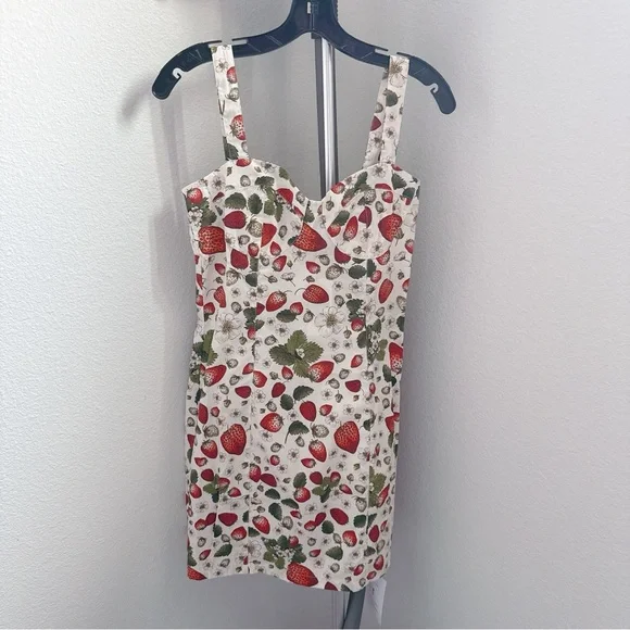 RARE NWT Rouje Angie Strawberry Print dress - Picture 3 of 10
